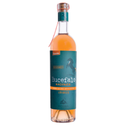 Bucefalo Malvasia Orange