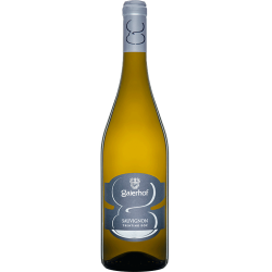 Sauvignon Trentino DOC