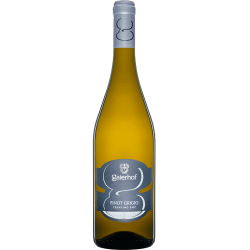 Pinot Grigio Trentino DOC